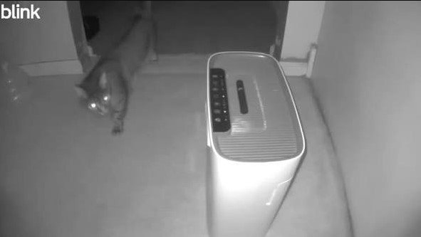 why does my humidifier make my air purifier go off