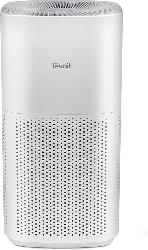 best rated air purifiers for large rooms