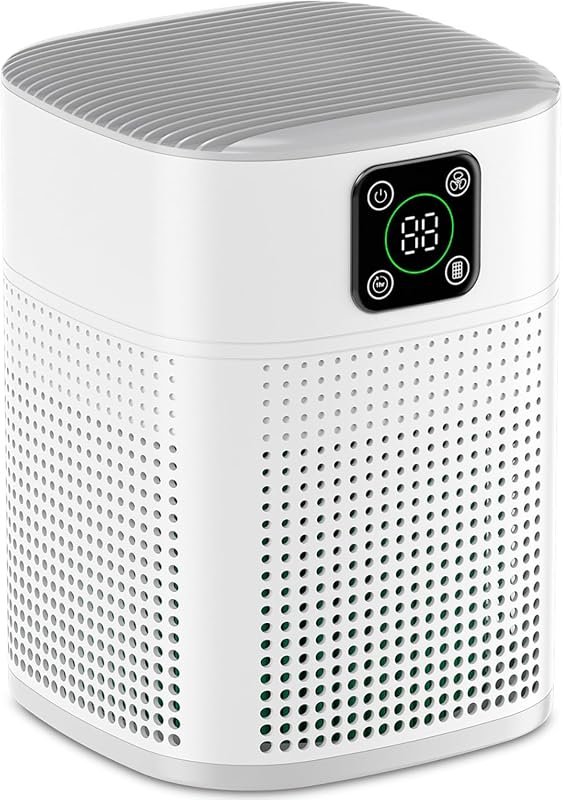 Honeyuan H13 HEPA Air Purifier
