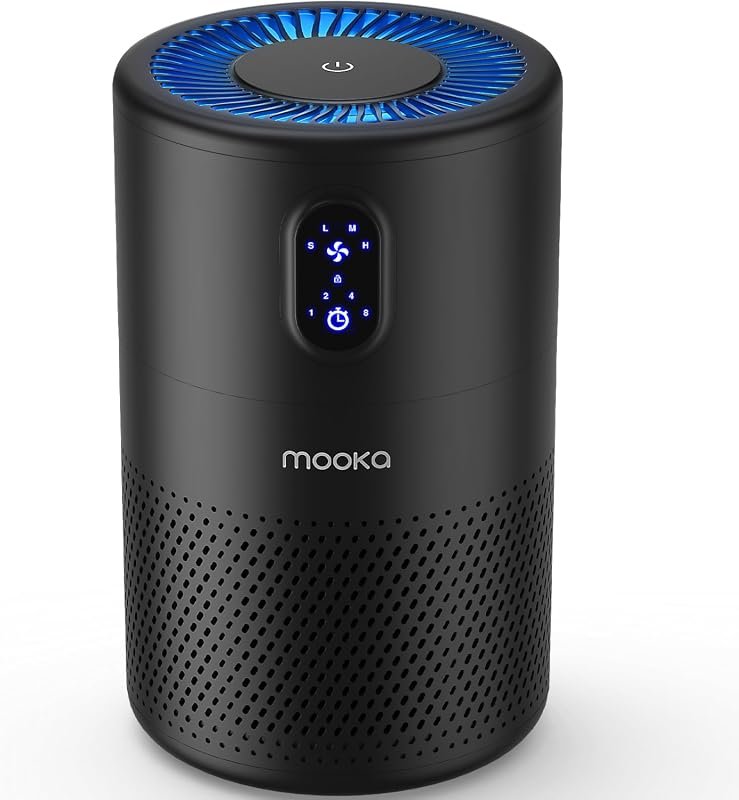 best small air purifiers for cigarette smoke