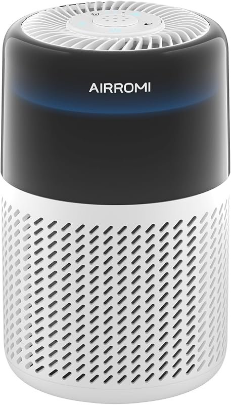 best small air purifiers for cat litter odor