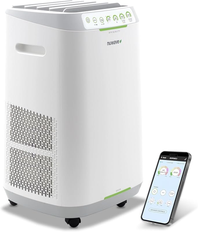 best rated whole house air purifiers