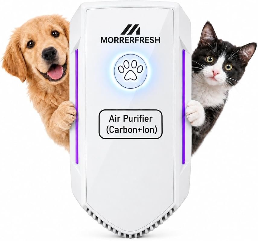 Ionic Activated Carbon Air Purifier